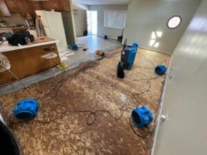 water damage extraction and removal services 